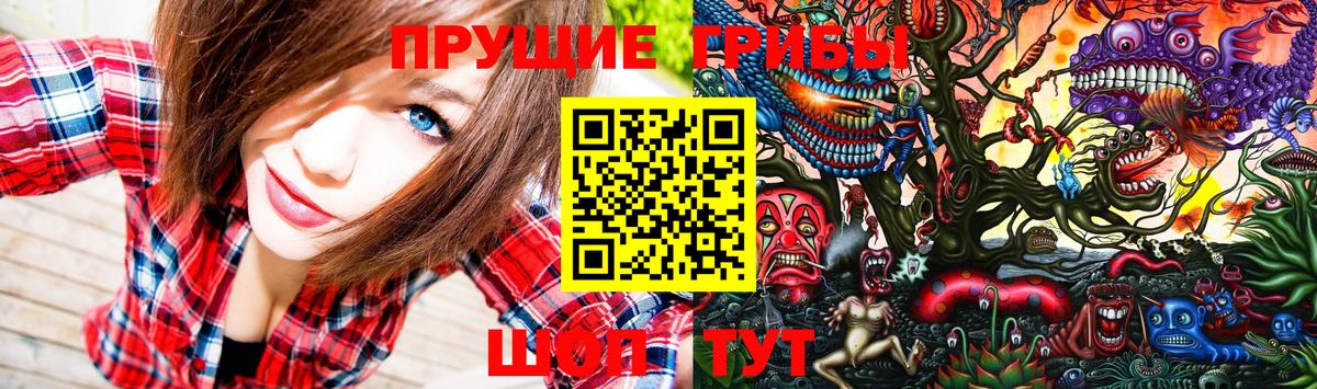 Псилоцибиновые грибы GOLDEN TEACHER  Галлюциногенные грибы Psilocybe  Вход с VPN  Тула 